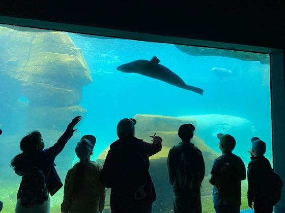 Kinder und Erwachsene vor einem Fisch im Tropen-Aquarium